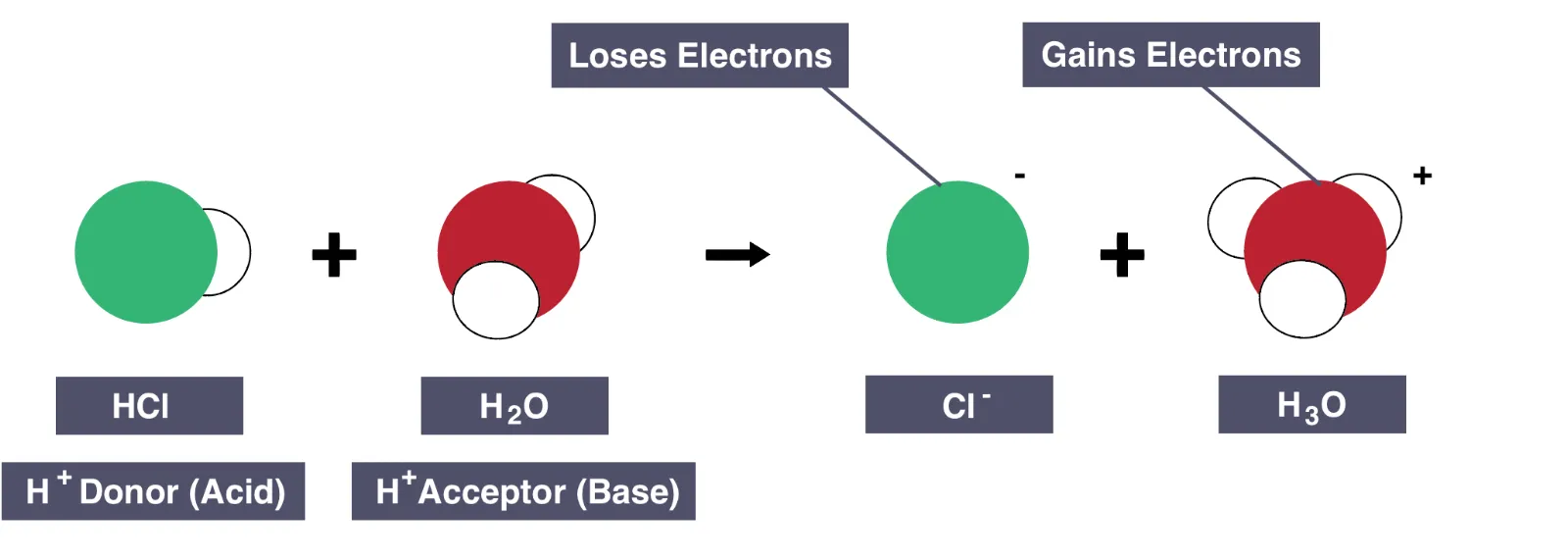 Acids Donate Protons Easily
