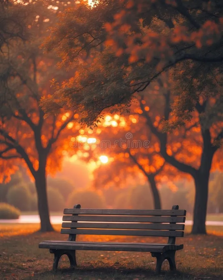 A quiet, peaceful park bench at sunset symbolizing reflection