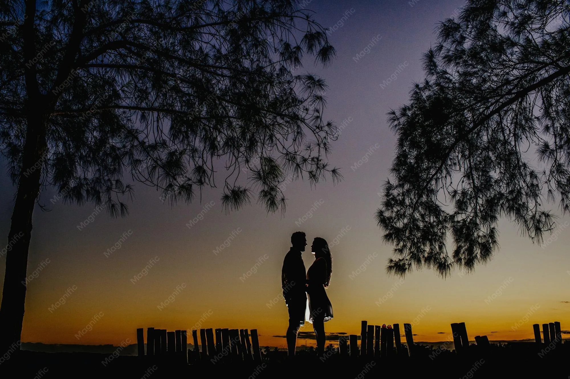 Two silhouettes of people standing against a soft sunset sky, symbolizing comfort and togetherness during a difficult time.