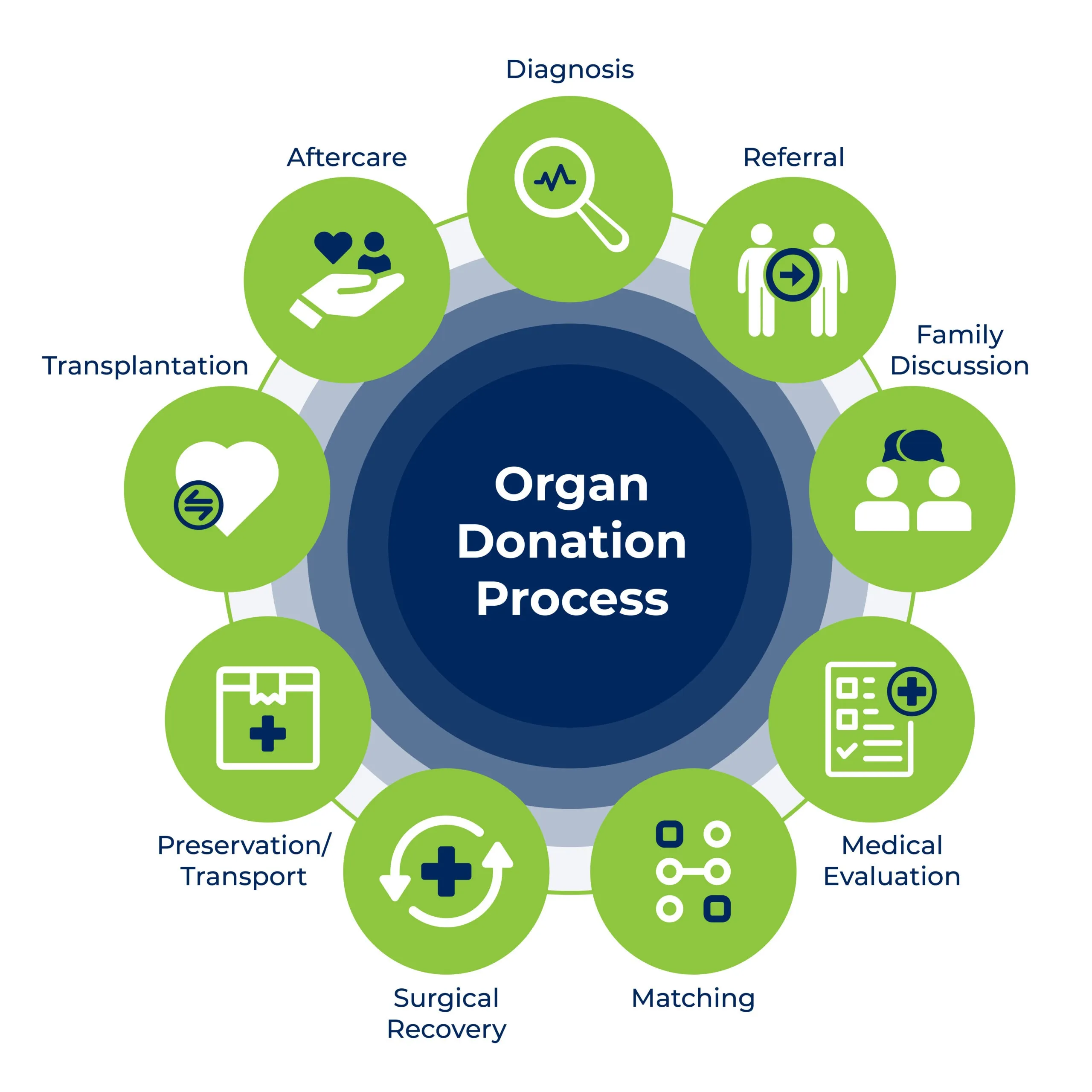 Organ donation process