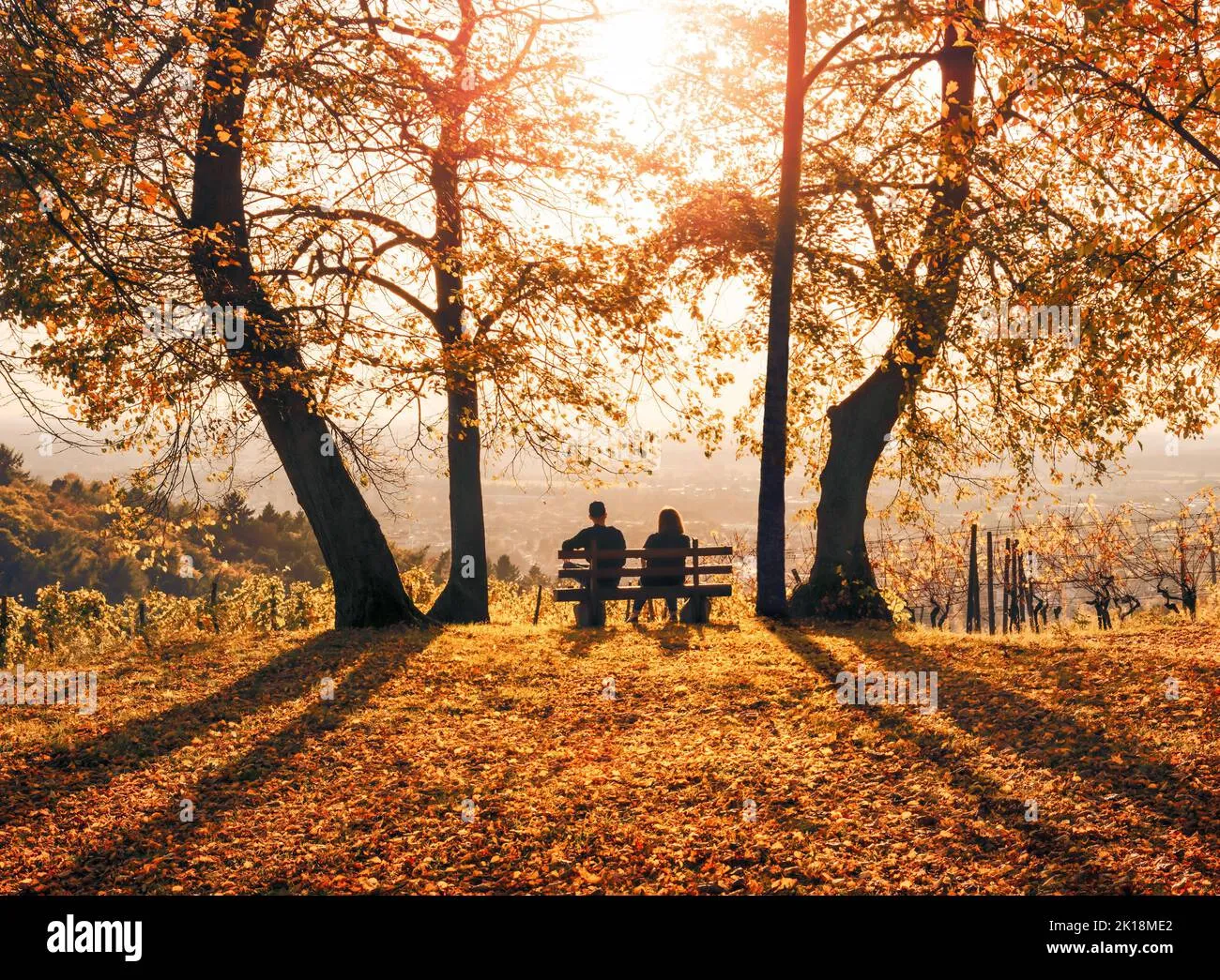 An intimate scene of two friends sitting on a park bench talking supportively.